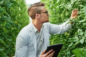 Feiras Agropecuárias no Brasil em 2024: Inovações e Networking